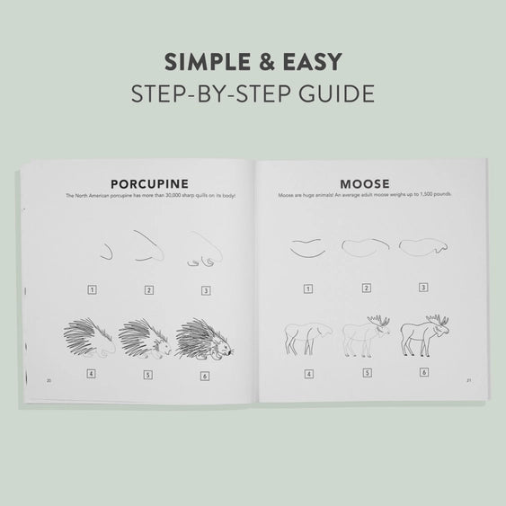 illustrated guide on how to draw a porcupine and a moose