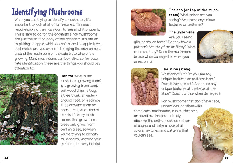 Mushrooms & Fungi for Kids