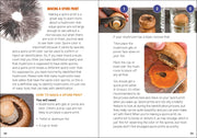 Instructions on making a spore print with images and text