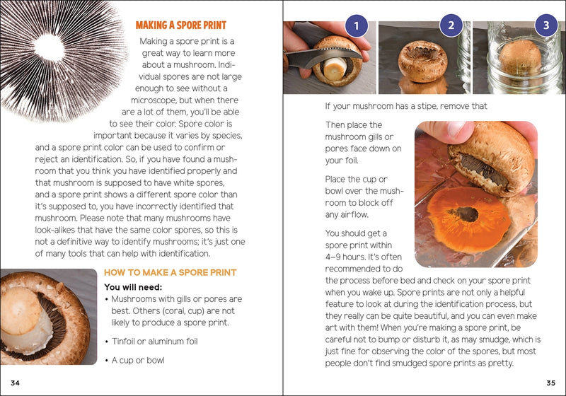 Instructions on making a spore print with images and text