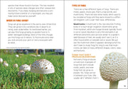 Book page about fungi with text and images of mushrooms on grass.