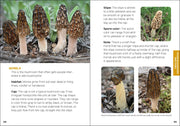 Book page with images and descriptions of morel mushrooms and other fungi.