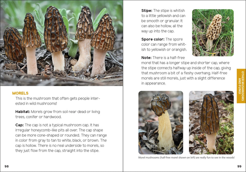 Book page with images and descriptions of morel mushrooms and other fungi.