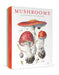 Mushrooms: Alexander Viazmensky Boxed Notecard Assortment