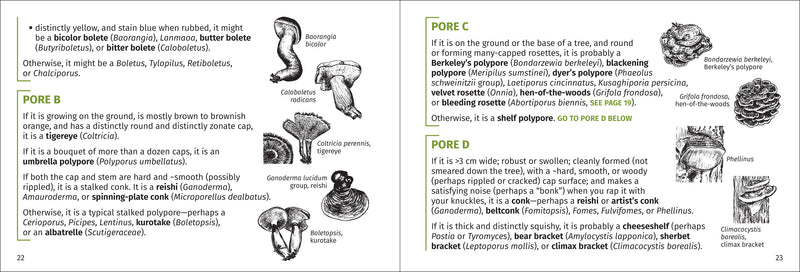 Mushroom Finder - Identifying Fungi in North America sample pages