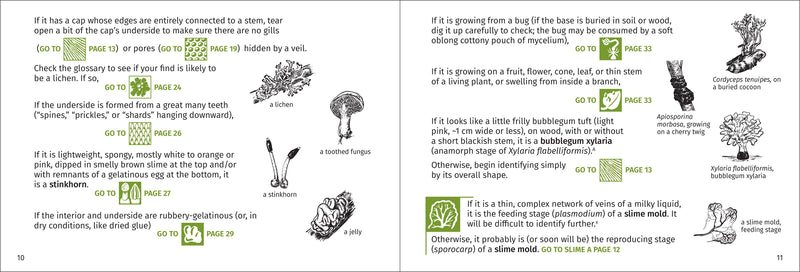 Mushroom Finder - Identifying Fungi in North America sample pages