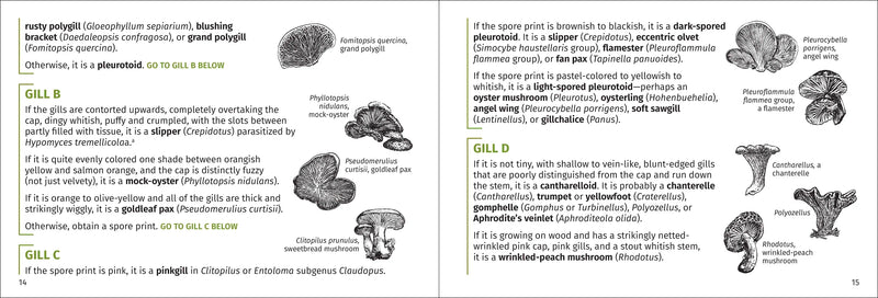Mushroom Finder - Identifying Fungi in North America sample pages