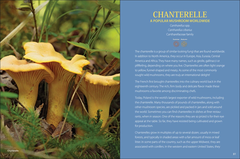 Start Mushrooming 2nd Edition sample pages