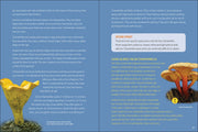 Start Mushrooming 2nd Edition sample pages