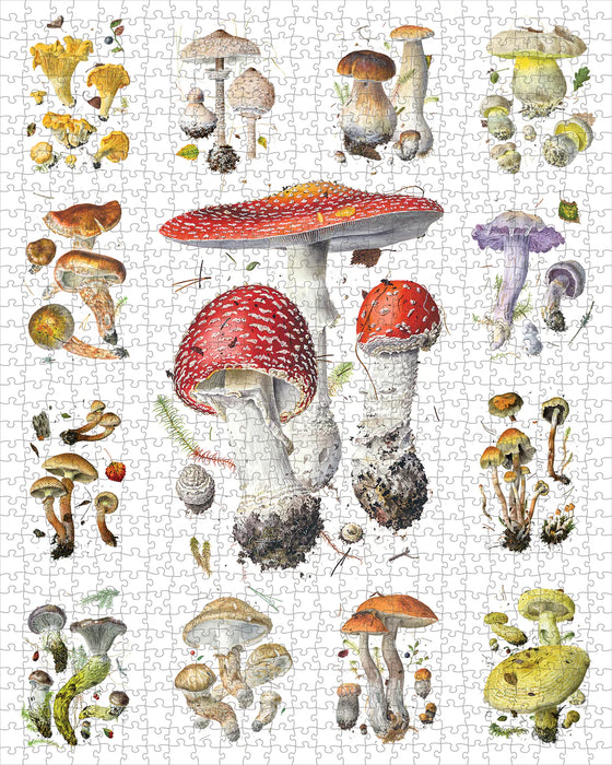 Mushrooms: Alexander Viazmensky 1000-Piece Jigsaw Puzzle