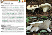 Mushrooms of the Upper Midwest - sample page