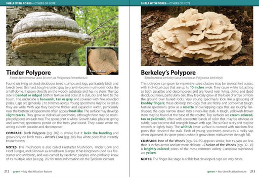 Mushrooms of the Upper Midwest sample pages