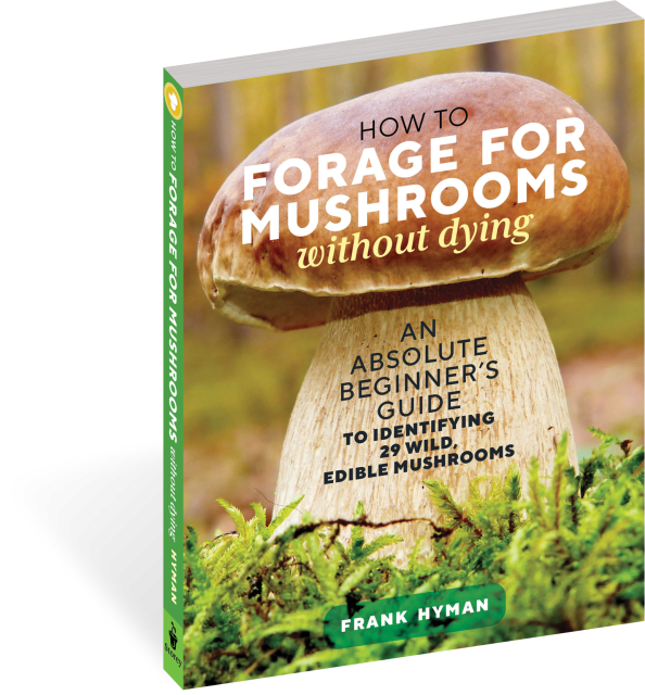 How to Forage for Mushrooms without Dying