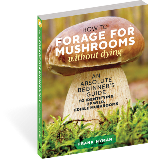 How to Forage for Mushrooms without Dying