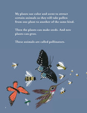 My Pollinator Garden sample pages
