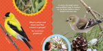 Nature Baby: Birds Board Book page examples