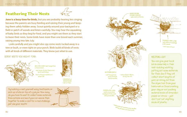 The Nature Connection: An Outdoor Workbook for Kids, Families, and Classrooms
sample pages