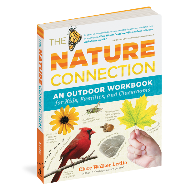 The Nature Connection: An Outdoor Workbook for Kids, Families, and Classrooms
front cover
