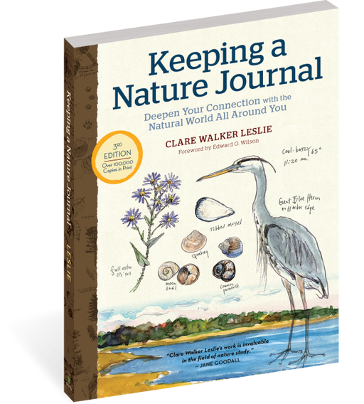 Keeping a Nature Journal, 3rd Edition: Deepen Your Connection with the Natural World All Around You