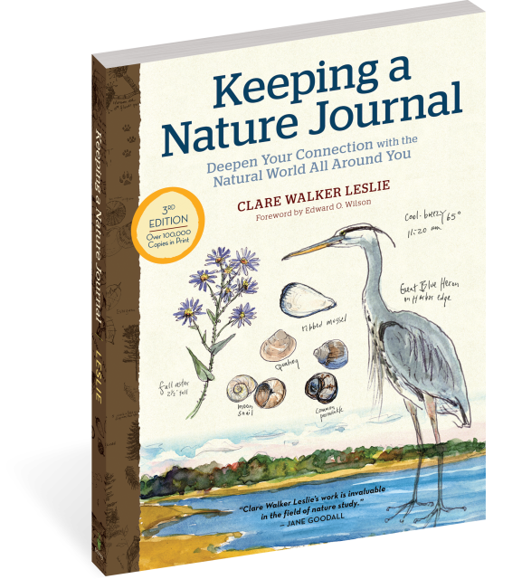 Keeping a Nature Journal, 3rd Edition: Deepen Your Connection with the Natural World All Around You