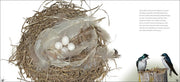 Bird Nests sample pages
