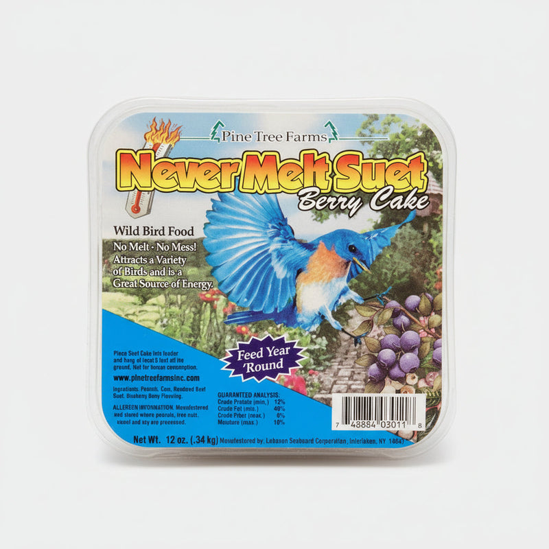 Never Melt Suet Berry Cake - Single cake