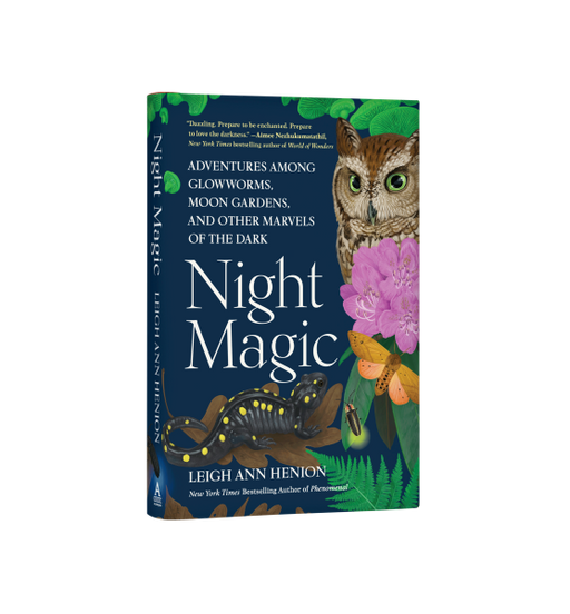 Night Magic Adventures Among Glowworms, Moon Gardens, and Other Marvels of the Dark