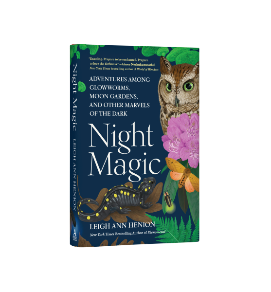 Night Magic Adventures Among Glowworms, Moon Gardens, and Other Marvels of the Dark