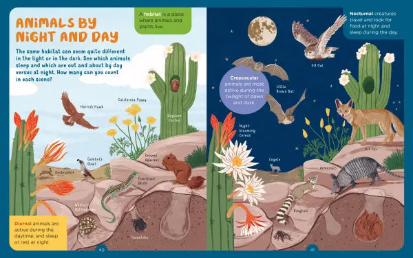 Backpack Explorer: Night Walk
sample pages