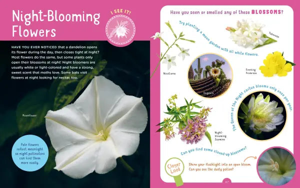 Backpack Explorer: Night Walk
Sample pages