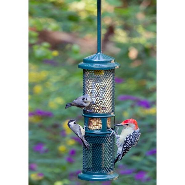 Squirrel Buster Nut Feeder