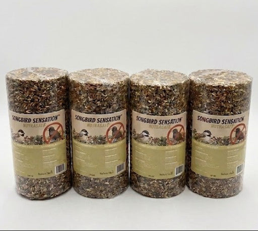 NutraSaff Cylinders Standard Size - 1.5lbs Pack of 4
