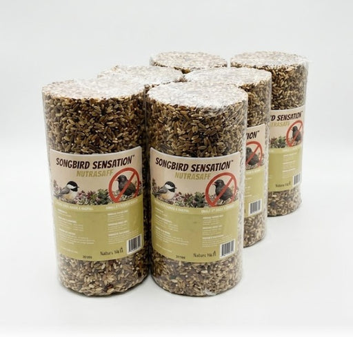 NutraSaff Cylinders Standard Size - 1.5lbs Pack of 6