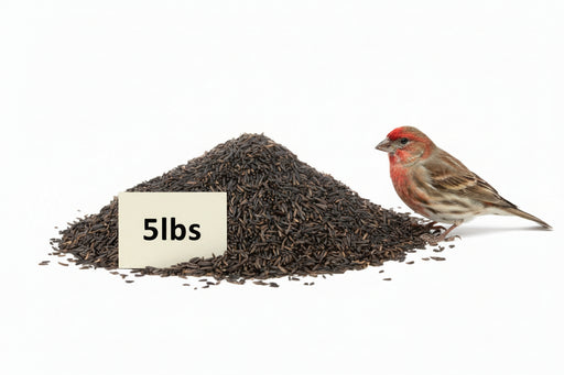 Nyjer® seed for finch feeders