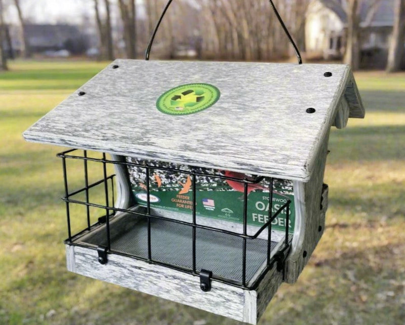Oasis Recycled Bird Feeder with Dove Guard