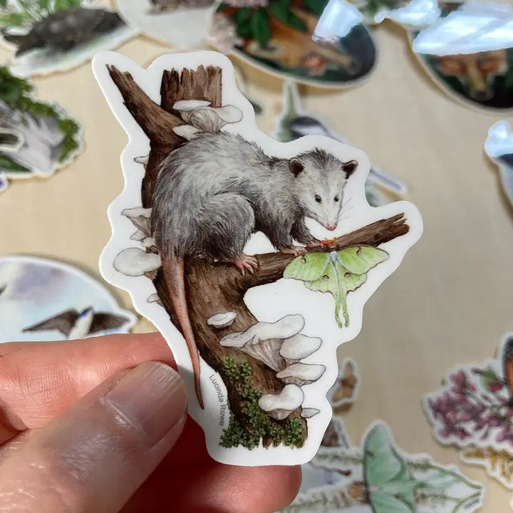 Vinyl Sticker - Opossum with Luna Moth
