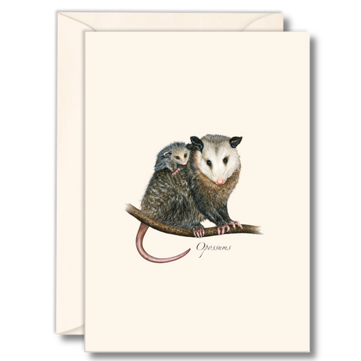 Opossums Notecard Boxed Set of 8
mama and baby