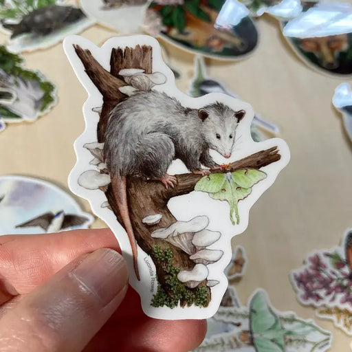 Vinyl Sticker - Opossum with Luna Moth
