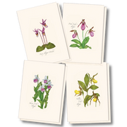 Native Orchid Assortment Notecard Boxed Set