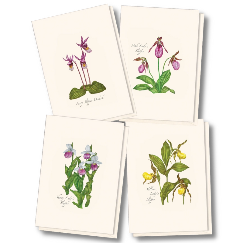 Native Orchid Assortment Notecard Boxed Set