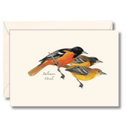 Baltimore Oriole Notecard Boxed Set of 8