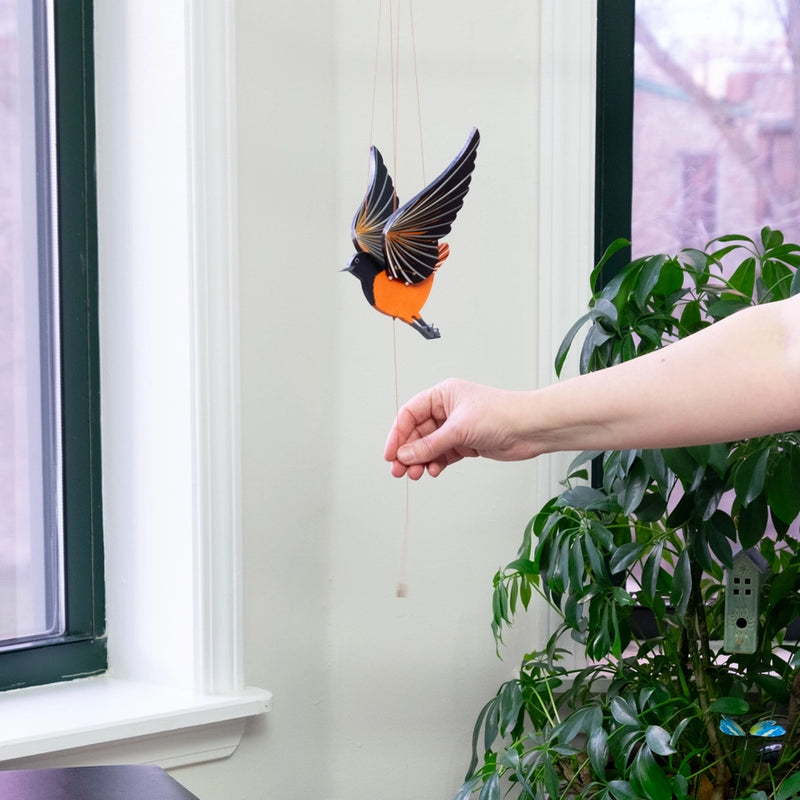 Oriole Bird Flying Mobile
hand pulling the pull cord