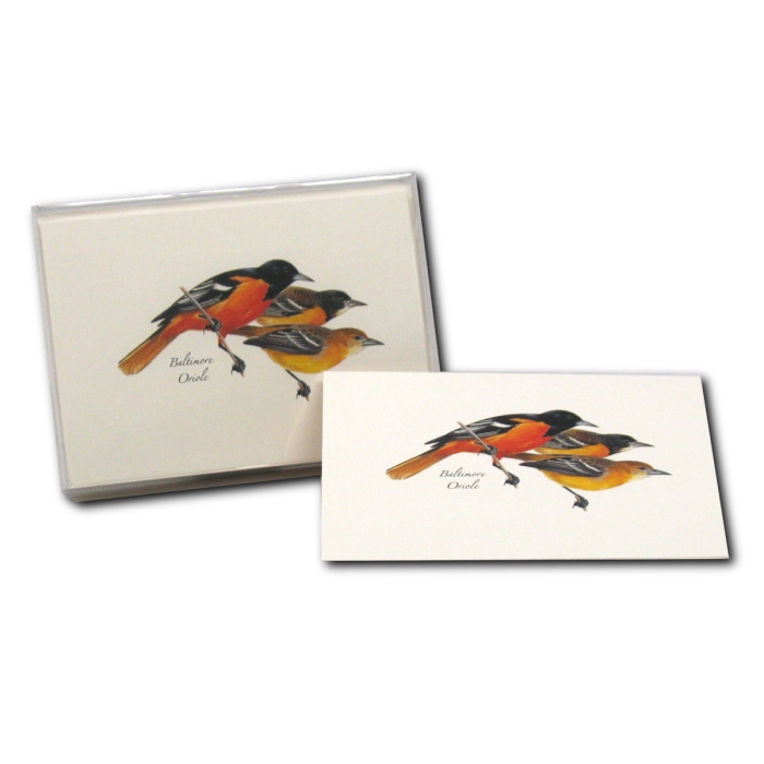 Baltimore Oriole Notecard Boxed Set of 8