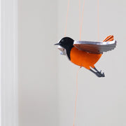 Oriole Bird Flying Mobile
closeup