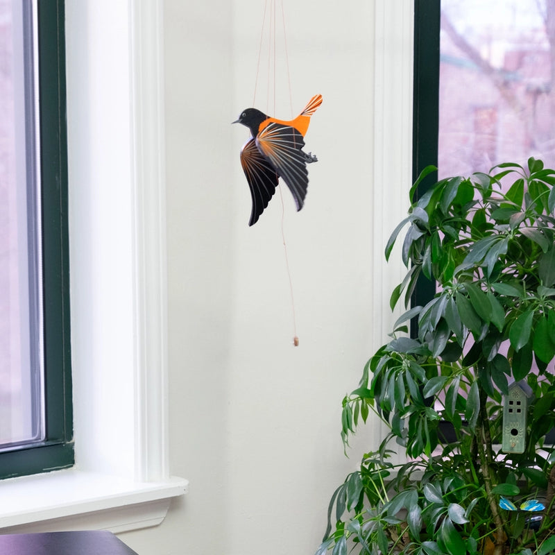 Oriole Bird Flying Mobile