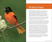 Baltimore Oriole on a branch with educational text about orioles on a green background