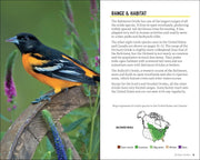 Baltimore Oriole on a branch with habitat information text on a green background