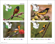 Book pages showing photos of different orioles with maps and color coding