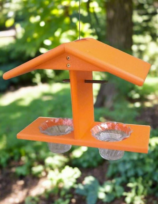 Double Oriole Feeder