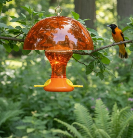 Fliteline Oriole Nectar Feeder with Weather Guard Combo in use